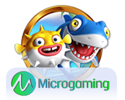 วิธีเล่น นี โม่ สล็อต สำหรับมือใหม่